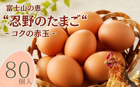 �x�m�R�̌b�g�E��̂��܂��g�]�R�N�̐ԋʁ]80��