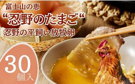 �E��̕��������q���@30��