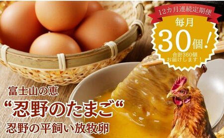 �y����ցz�E��̕��������q���@12�����A������ցi����30��×12�����@���v360�j|���܂� ���������� ���܂� �^�}�S ���N �ʎq