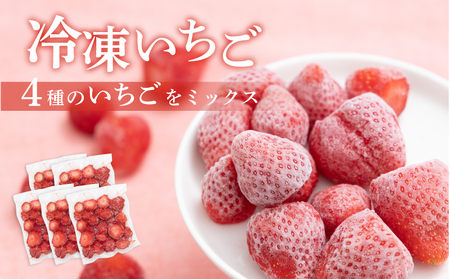 �Ⓚ������ 5�܋l�����Z�b�g�b�������@�C�`�S�@䕁@�Ⓚ�������@�t���[�Y��