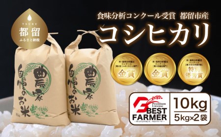 コシヒカリ10kg(5kg×2袋)[都留市産][令和6年産] お米 米 おコメ コメ コシヒカリ こしひかり