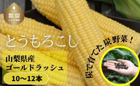 [2025年 先行予約]山梨県都留市産 ゴールドラッシュ 10〜12本|炭野菜 野菜 とうもろこし 間伐材 炭 肥料 SDGs 炭香ファーム トウモロコシ おやつ