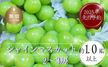 [2025年 先行予約]山梨県都留市産 朝採れ シャインマスカット 2~3房(約1.0kg以上)シャインマスカット 葡萄 ぶどう ブドウ フルーツ 先行予約 果物