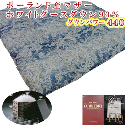羽毛布団 シングル 羽毛掛け布団 ポーランド産マザーグース93％ 【立体ＳＢ】 ダウンパワー440 CK428