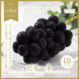 y2026NstzRRsY@{̍̂ꂽăsI[l@1kg@2`3[yzsnFzy1459463z