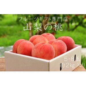 y2026NstzRRsY@x@{̍̂ꂽēy5`8ʁz2kgyzsnFzy1365409z