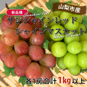 山梨市産サンシャインレッドとシャインマスカットの特別セット(合計1kg以上)【配送不可地域：離島】【1464815】
