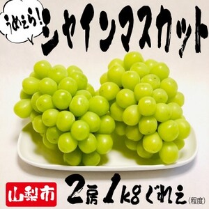 ƂꂽăVC}XJbgRs_ƒ(2[v1kgx)yzsnFzy1463721z