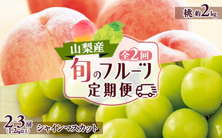 yŒցzRst[c(EVC}XJbg)S2yzsnFzy4006310z