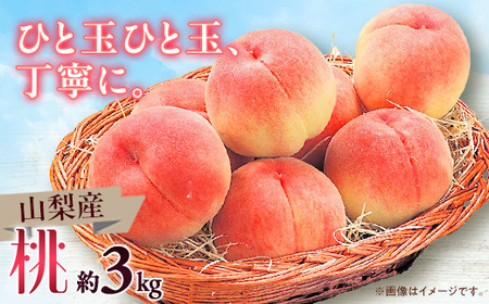 y2026NzRsY@@3kgyzsnFzy1465106z