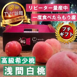 【市場にほぼ出回らない浅間白桃】人気品種指定ギフト5年連続TV出演話題ブランド2026年7月中旬発送【配送不可地域：離島・北海道・沖縄県・中国・四国・九州】【1465254】