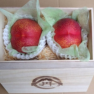 yɑoz׋C𕥂_ȉʕނȂΓxVg[lN^2026N7{yzsnFEkCEꌧEElEBzy1468765z