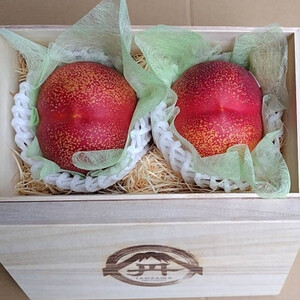 ycl֍ō̂~蕨zōx25xނȂΓxVg[lN^2026N8{yzsnFEkCEꌧEElEBzy1468768z