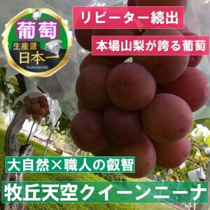 2025年9月中旬発送「幻の牧丘天空クイーンニーナ」約1kg(2～3房)【配送不可地域：離島・沖縄県】【1473341】