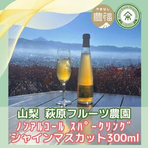 山梨 はぎふる ノンアルコールスパークリング シャインマスカット 300ml×2本 (化粧箱入)【1482160】