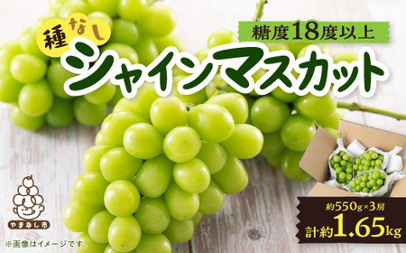 y2026NstzRsYuVC}XJbg(Ȃ)v 1.65kg (550g×3[)yzsnFEꌧzy1117302z