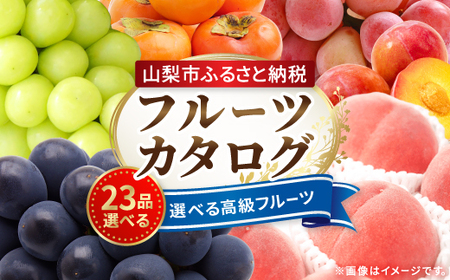 後からゆっくり選べる!フルーツカタログ23品選べる『プレミアムギフトカタログ』桃 シャインマスカット【1485124】