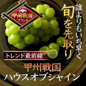 [今逃せば1年待ち]最高糖度20度オーバー贈答用甲州戦国ハウスオブシャイン2026年6月下旬より発送[配送不可地域:離島]