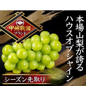 【本場山梨の旬を堪能】今、話題のハウスオブシャインマスカット全国に先駆け2026年6月中旬発送【配送不可地域：離島】【1494995】