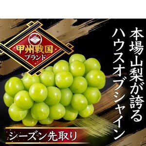 【幻のハウスオブシャインマスカット】今の時期しか収穫できない幻の逸品2026年6月下旬より発送【配送不可地域：離島】【1495010】