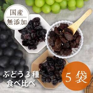 シャインマスカット 巨峰 ピオーネ のレーズン 30g×5袋 食べ比べセット 無添加、砂糖不使用【1508443】