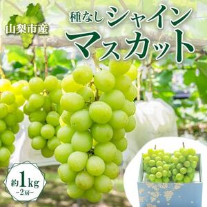 大房で食べ応え満点!「山梨県山梨市産 シャインマスカット 2房 約1kg」【配送不可地域：離島】【1513030】