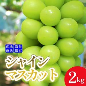 [産地直送]厳選高級シャインマスカット 2kg(3〜4房)[配送不可地域:離島・沖縄県]