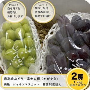 富士の輝とシャインマスカット　1.2kg【配送不可地域：離島】【1525931】