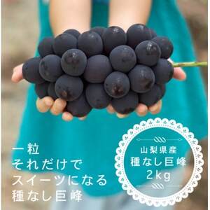 【2026年発送分先行受付】巨峰ぶどう(種なし) 2kg 以上 産地直送 山梨県山梨市牧丘産【配送不可地域：離島・沖縄県】【1535988】
