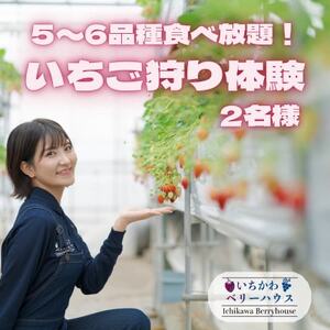 [2025年先行受付]5〜6品種食べ放題!いちご狩り体験2名様ご招待!