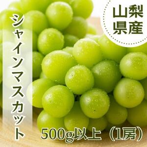 【2025年先行受付】やみつきシャインマスカット 500g以上(1房)【配送不可地域：離島】【1551175】