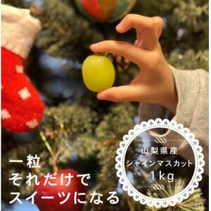 yNz~ɐHׂ VC}XJbg 2[ (v1kgȏ)RYyzsnFEꌧzy1560607z