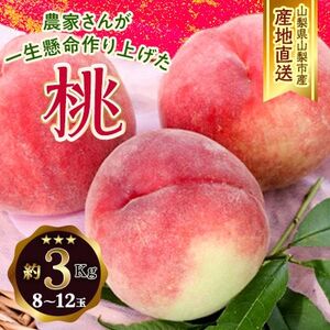 山梨県山梨市産 桃 約3kg(8～12玉)【配送不可地域：離島】【1561140】