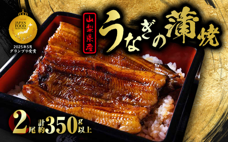 RYxmR̒nȂ̊āy350gȏzyzsnFzy1566344z