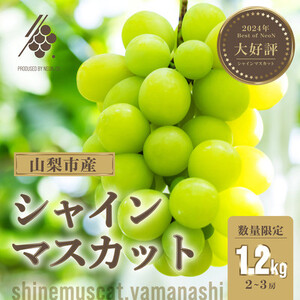 yst2026Nz VC}XJbg 2`3[(v1.2kg)y󂠂zyzsnFEꌧzy1567960z