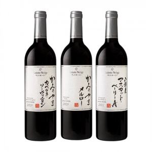 サントネージュワインおすすめ赤ワイン3本セット