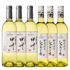 サントネージュワイン 甲州・シャルドネ6本セット