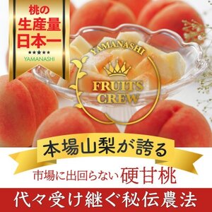 やみつきリピーター続出!桃通が好む本場山梨の味『硬甘桃』約2kg8月上旬より発送【配送不可地域：離島・北海道・沖縄県・中国・四国・九州】【1424180】