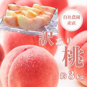 y2026Ns\zy󂠂znn 3kg RY Д_Y!yzsnFzy1579469z