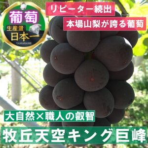 「幻の牧丘天空ブランドのシャインマスカット+キング巨峰」約1kg【配送不可地域：離島・北海道・沖縄県・中国・四国・九州】【1585060】