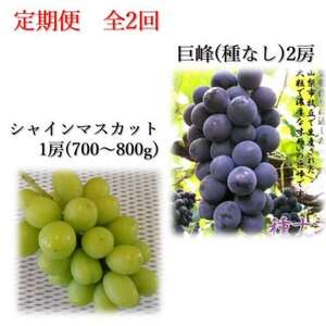 �y�������Œ����ցz2026�N����  �햳������@�V���C���}�X�J�b�g�S2��y�z���s�n��F�����z�y4062141�z