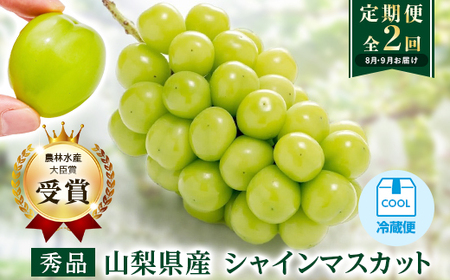 [発送月固定定期便][農林水産大臣賞受賞!!]山梨のシャインマスカット1房0.5kg以上全2回[配送不可地域:離島]