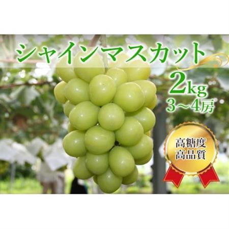 シャインマスカット 約2kg(3～4房)【配送不可地域：離島】【1583277】