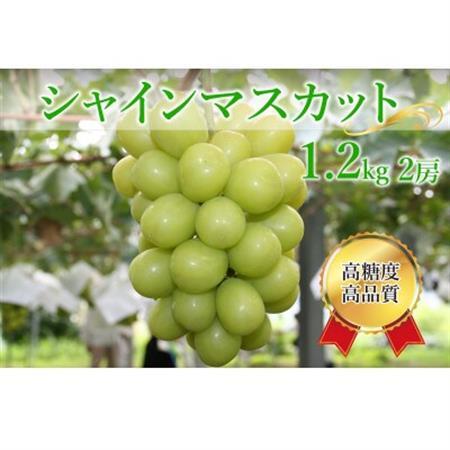 シャインマスカット 計1.2kg(2房)【配送不可地域：離島】【1591155】