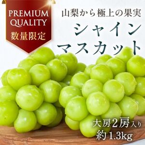 �y2026�N��������s��t�z���ʌ��� ���I �v���~�A���V���C���}�X�J�b�g ��[2�[ �R������Y�n�����y�z���s�n��F�����z�y1591108�z