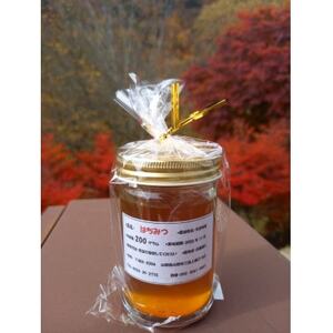山梨市三富産　日本みつばちの純粋はちみつ　200g【1595888】