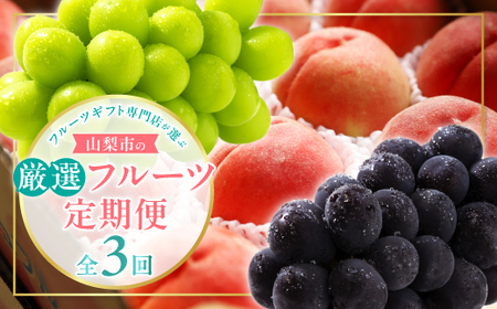 yŒցz2026Nst@t[cMtgXIԎRšIt[cց@S3yzsnFEꌧzy4064103z