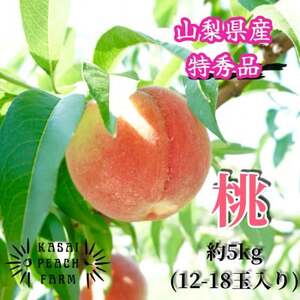 厳選朝採り桃 山梨の笠井桃園の桃 約5kg【配送不可地域：離島】【1587434】