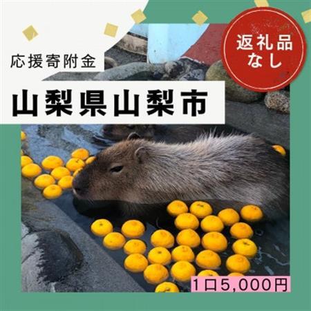 【返礼品なし】山梨県山梨市への応援寄附金(1口5,000円)