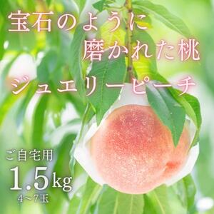 宝石のように磨かれた桃 やまなし内藤農園の白桃【ご自宅用】約1.5kg(4～7玉)【配送不可地域：離島】【1608938】